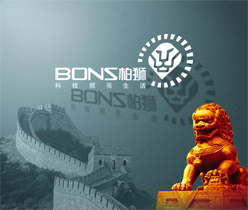 四川柏獅光電技術有限公司 宣傳冊設計