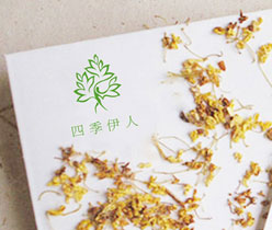 四季伊人美容會所 美容會所logo設(shè)計(jì)