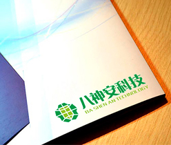 品牌商標(biāo)設(shè)計(jì),安防公司標(biāo)志設(shè)計(jì)