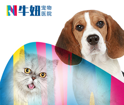 醫(yī)院醫(yī)療機(jī)構(gòu)標(biāo)志設(shè)計(jì),醫(yī)藥logo設(shè)計(jì)