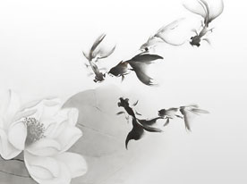 中國設計,深圳標志設計