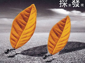 金融公司標志設計,深圳標志設計