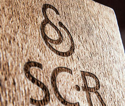 面膜標(biāo)志設(shè)計(jì),深圳商標(biāo)設(shè)計(jì)